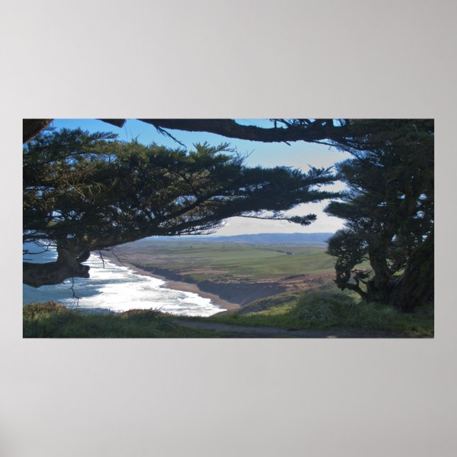 Point Reyes unter Trees Poster (Vorne)