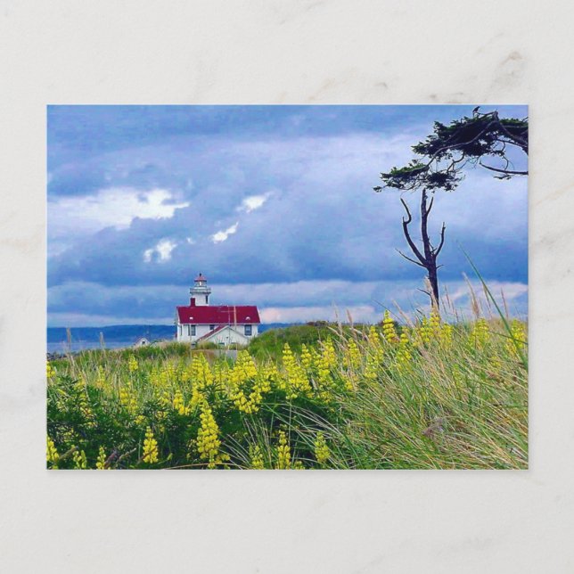 Point Wilson Lighthouse, Port Townsend, Washington Postkarte (Vorderseite)