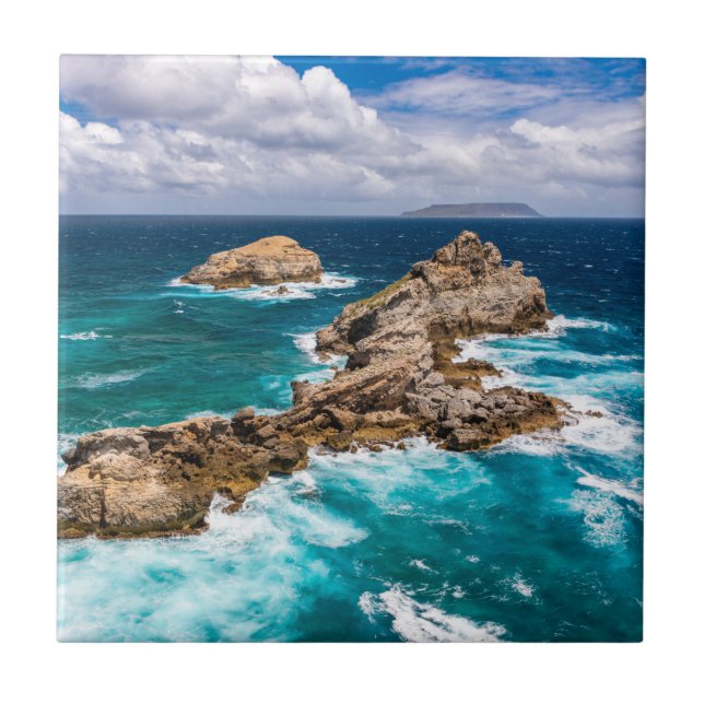 Pointe des Chateaux, Grande-Terre, Guadeloupe #2 Fliese (Vorderseite)