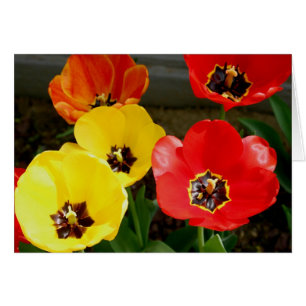 Pointe du pied par…