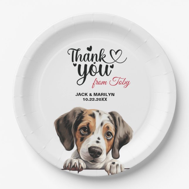 Pointer Dog Pappteller (Vorderseite)
