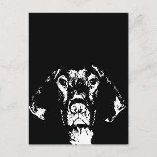 Pointer Gifts - Postkarte
