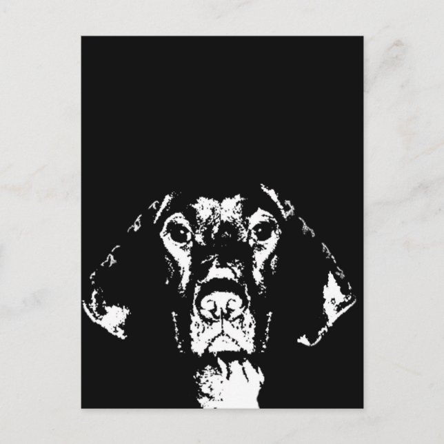 Pointer Gifts - Postkarte (Vorderseite)