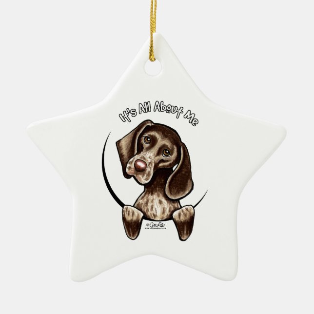 Pointer IAAM Keramik Ornament (Vorne)
