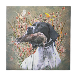 Pointer, Jagdwald Fliese