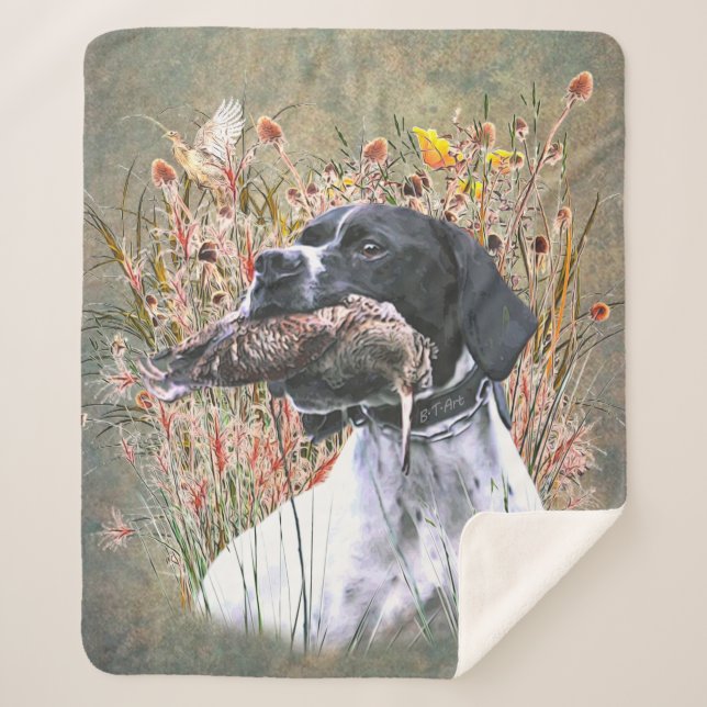 Pointer, Jagdwald Sherpadecke (Vorderseite)