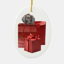 Pointer Puppy Christmas Geschenk