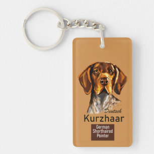 Pointeur à courte distance allemand Kurzhaar