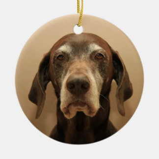 Pointeur à courte durée allemand ornement de Noël