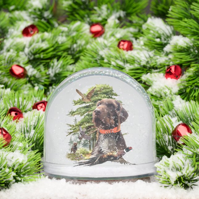 Pointeur À poils durs allemand, Chasse (Noël)