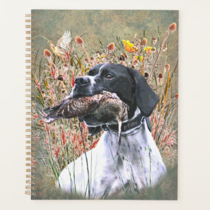 Pointeur, Chasse Bécasse