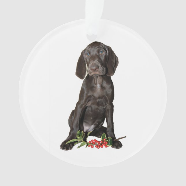 Pointeur de Noël Soeur Puppy (devant)