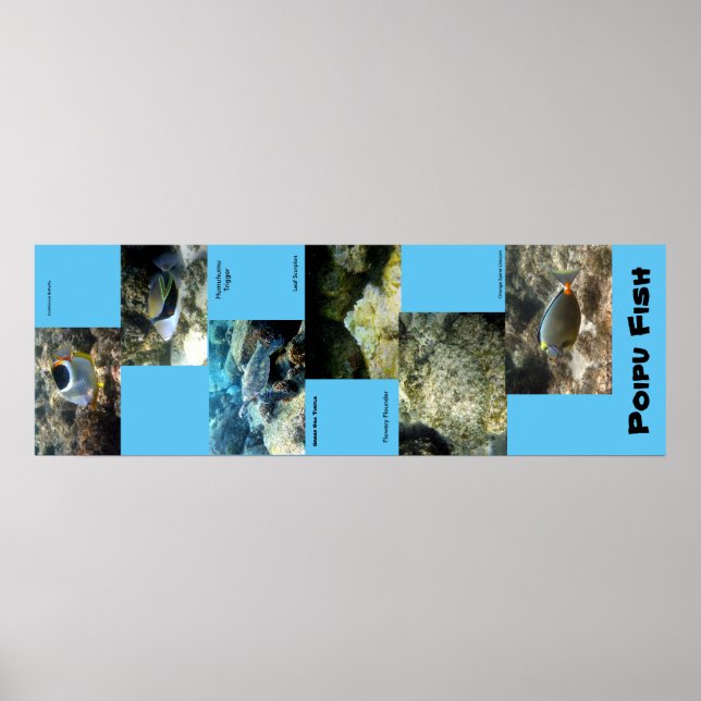 Poipu Fish Poster (Vorne)
