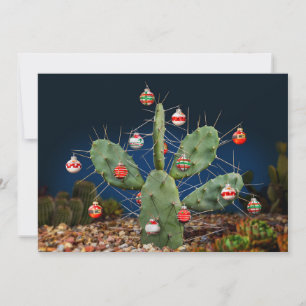 Poire de Noël, Appartement, Carte de vacances