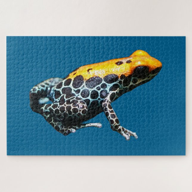 Poison Dart Frog (Horizontal)