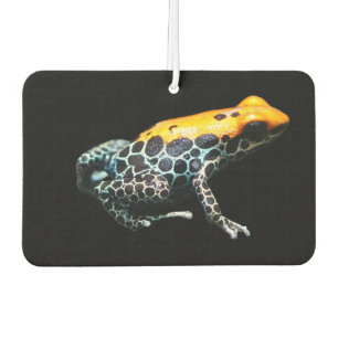 Poison Dart Frog Autolufterfrischer
