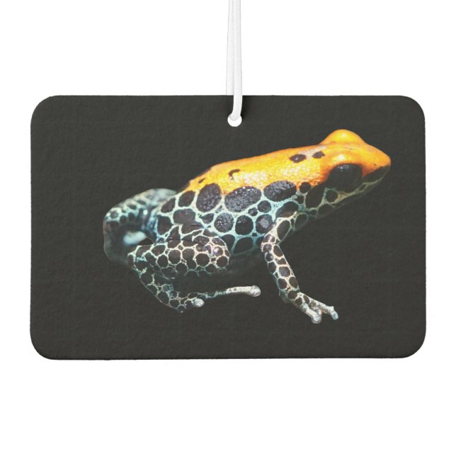 Poison Dart Frog Autolufterfrischer (Vorderseite)