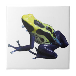 Poison Dart Frog Fliese