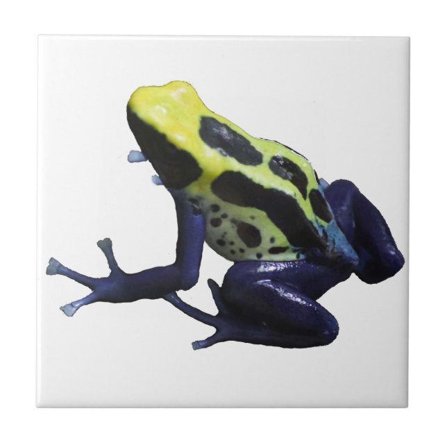 Poison Dart Frog Fliese (Vorderseite)