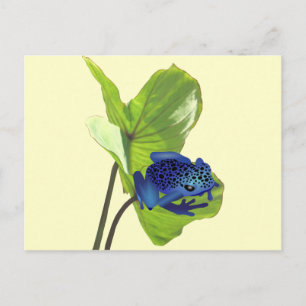 Poison Dart Frog Postkarte