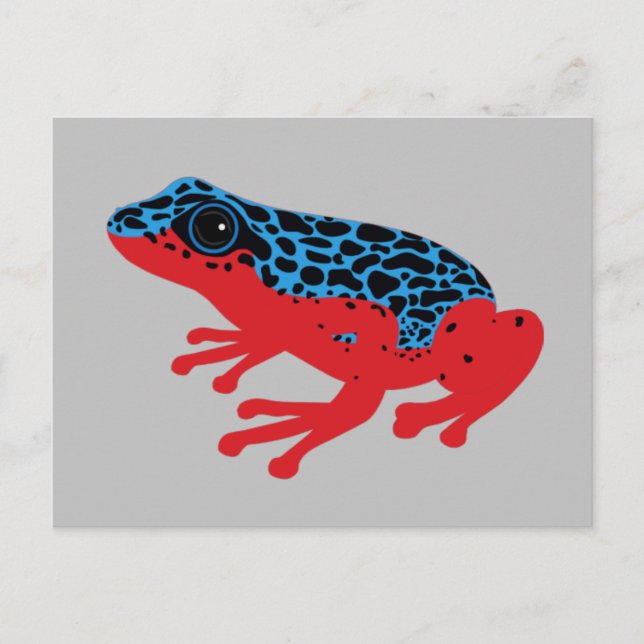 Poison-Dart-Frosch-Postkarte Postkarte (Vorderseite)