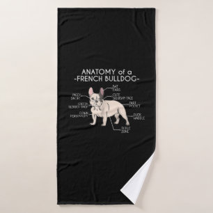Poison de Frenchie   Anatomy of A French Bulldog