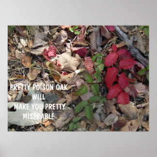 Poison jolie Poison Poak avertissement Poster