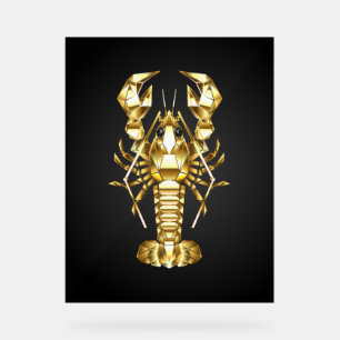 Poisson à langouste polygonale dorée sur noir