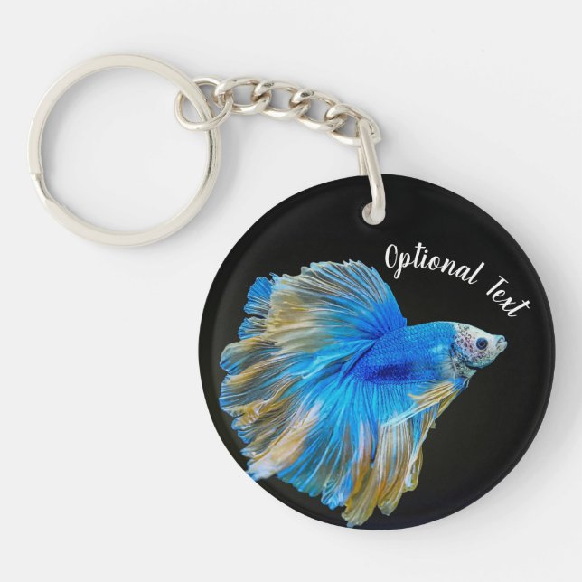 Poisson combattant Betta bleu (Devant)