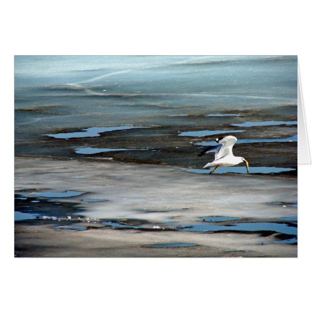 Poisson dans la bouche (Devant horizontal)