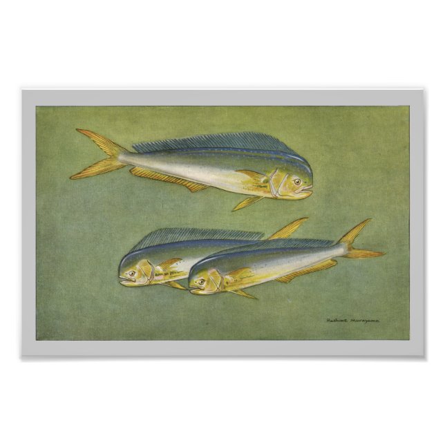 Poisson Dauphin Impression poisson Vintage (Devant)