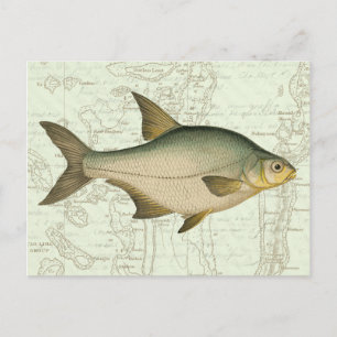 Poisson d'eau douce sur la carte