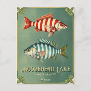Poisson nautique du lac Maine Carte postale