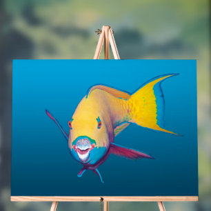 Poisson-perroquet en gros plan ! Fond bleu dégradé
