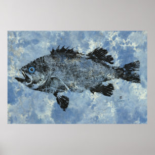 Poisson-roche noir en bleu - affiche de 36 po x 24
