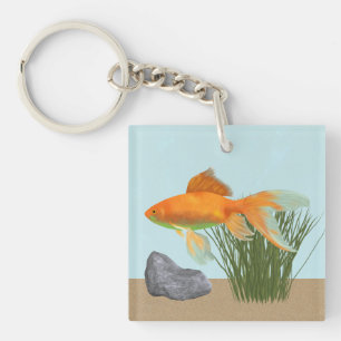Poisson rouge orange Aquarium Nature