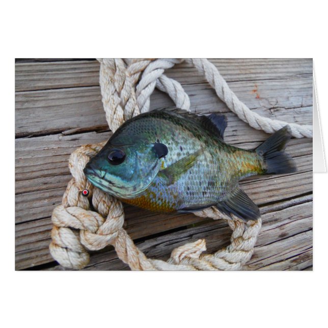 Poisson rouge sur quai et corde (Devant horizontal)