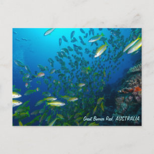 Poisson tropical de la mer de Corail Carte postale