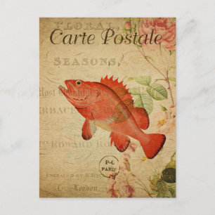 Poisson Vintage moderne collage art Carte postale