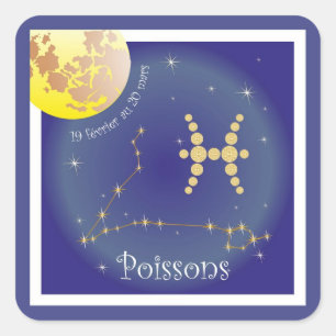 Poissons 19 février au 20 mars Aufkleber