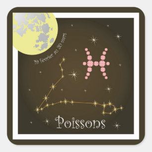 Poissons 19 février au 20 mars Aufkleber