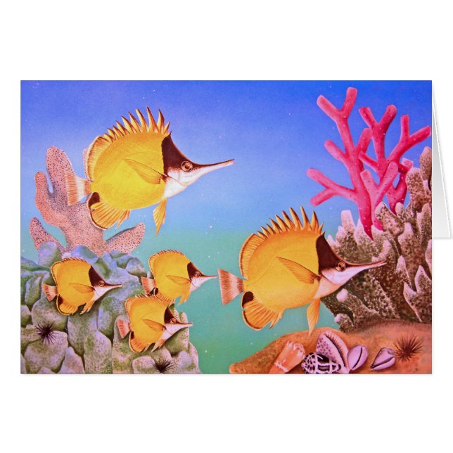 Poissons au nez long de papillon (Devant horizontal)