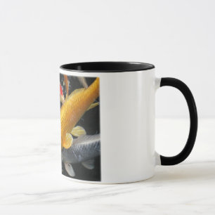 Poissons de Koi de tasse de nature