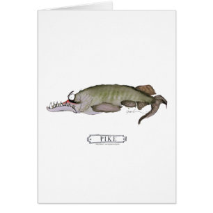 Poissons de Pike, fernandes élégants