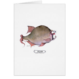 Poissons de Rudd, fernandes élégants