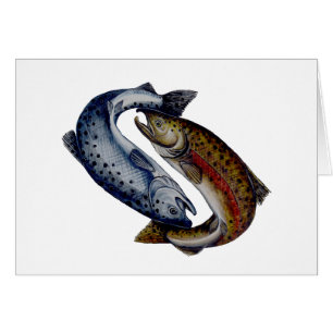 Poissons de saumon de Yin Yang