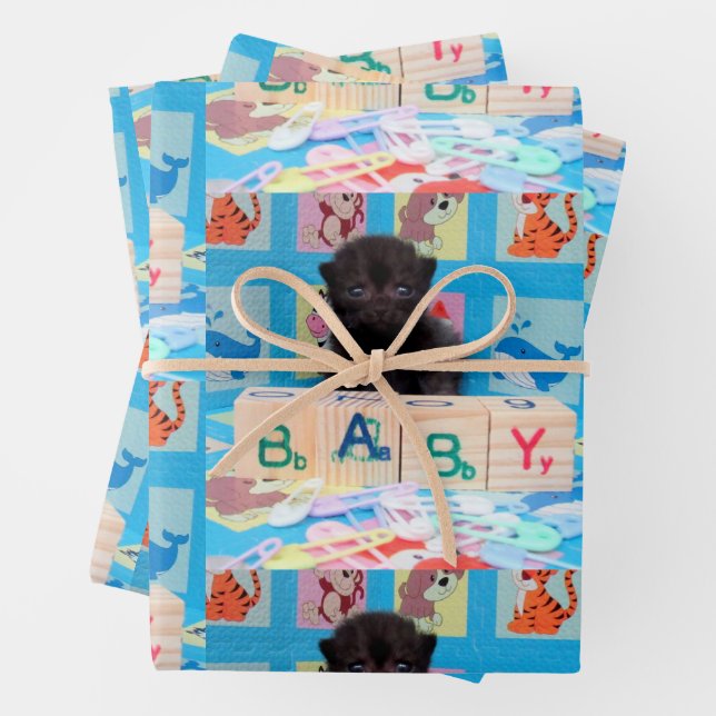 Poivre - Chaton bébé - Feuilles de papier envelopp (En situation)