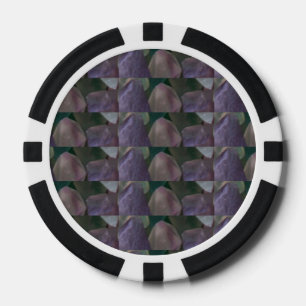 Poker Chips Anpassen des ChipLab TRITON™ casiNO
