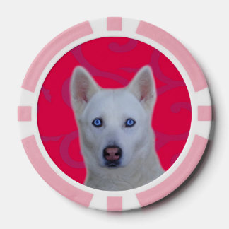 Poker-Chips aus weißem sibirischem Husky, rosa Str Pokerchips