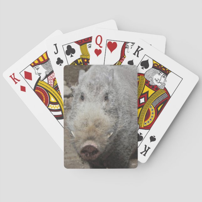 Poker-Gesichts-Spielkarten Spielkarten (Rückseite)